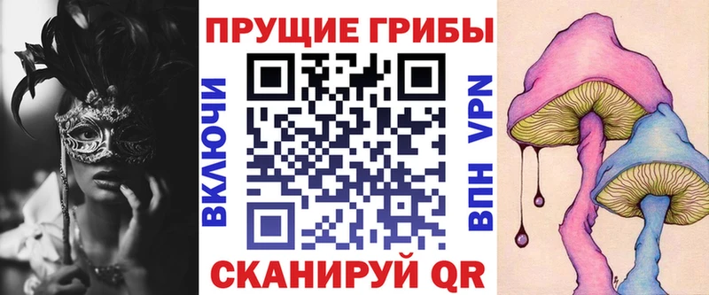 Псилоцибиновые грибы Psilocybe купить сайты Кущёвская