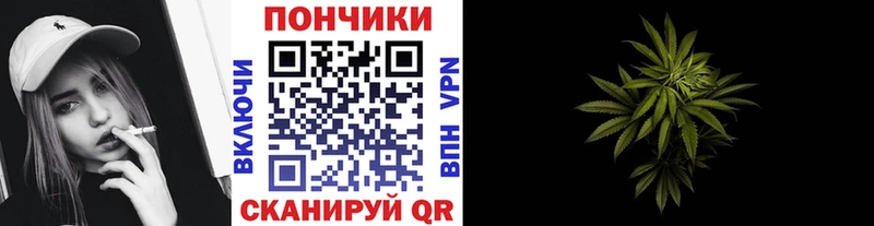 Марихуана план  Кущёвская 
